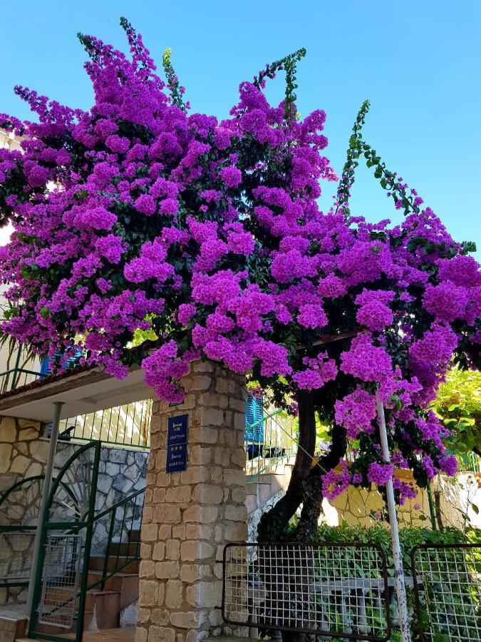 דירות גראדאץ Roso מראה חיצוני תמונה